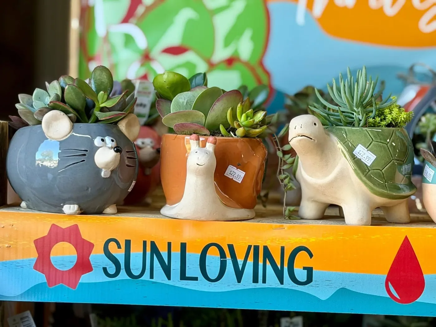 Decorative animal-shaped succulent planters on a store shelf