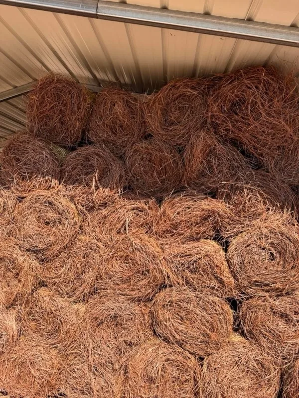 Rolled pine straw bales stacked for sale